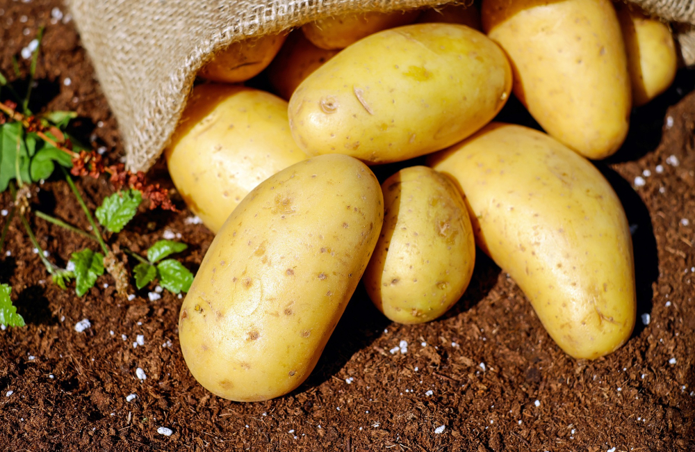 potatoes-g3e067eccf_1920.jpg