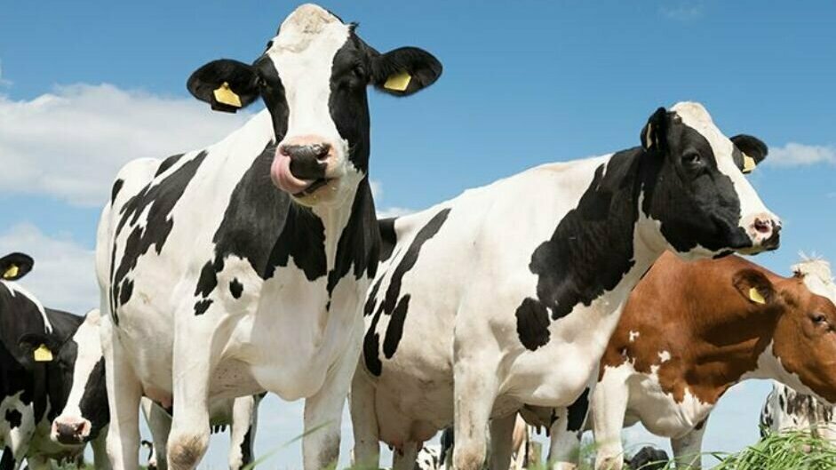 Persbericht beeld.jpg