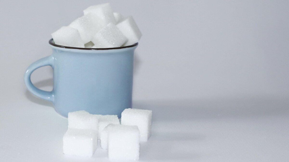 segerst-sugar-4397266_1920
