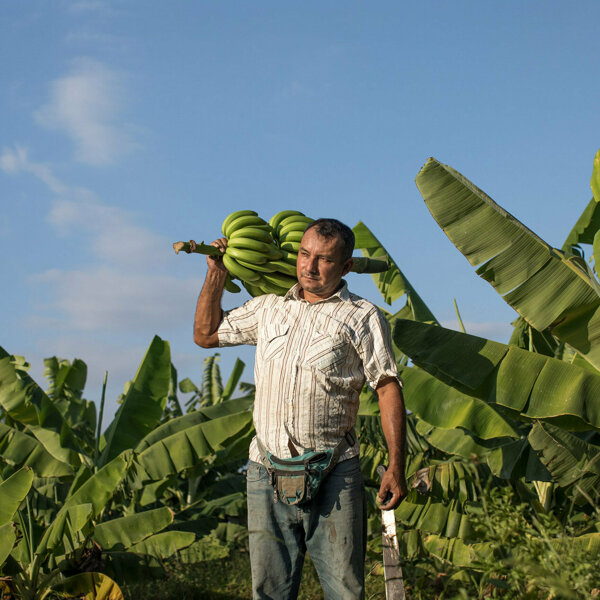fairtrade bananenboer.jpg