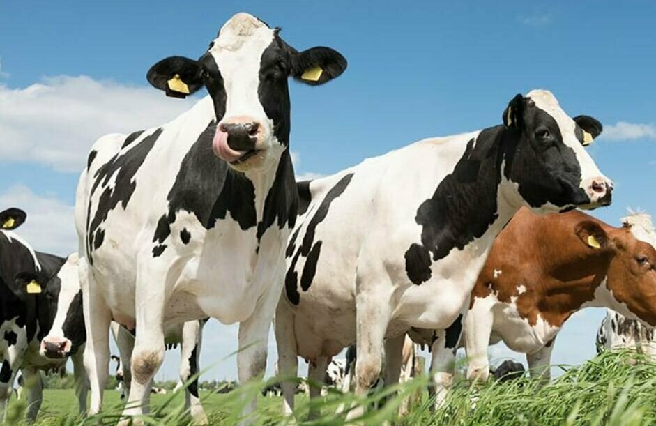 Persbericht beeld.jpg