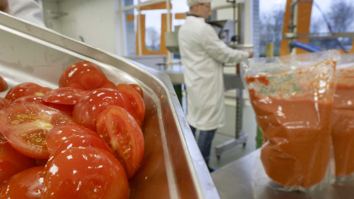 geredde_tomaten_naar_soep_productie_verspillingsfabriek_22__stretch_width1400_compression50.jpg