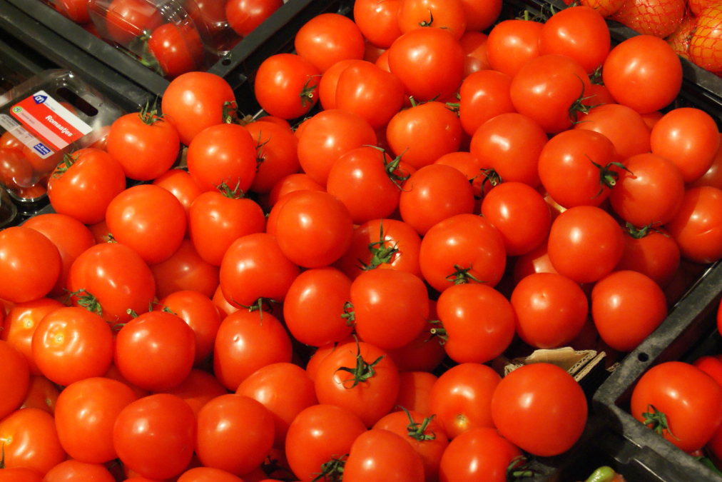 tomaten-tomaat-agf.jpg