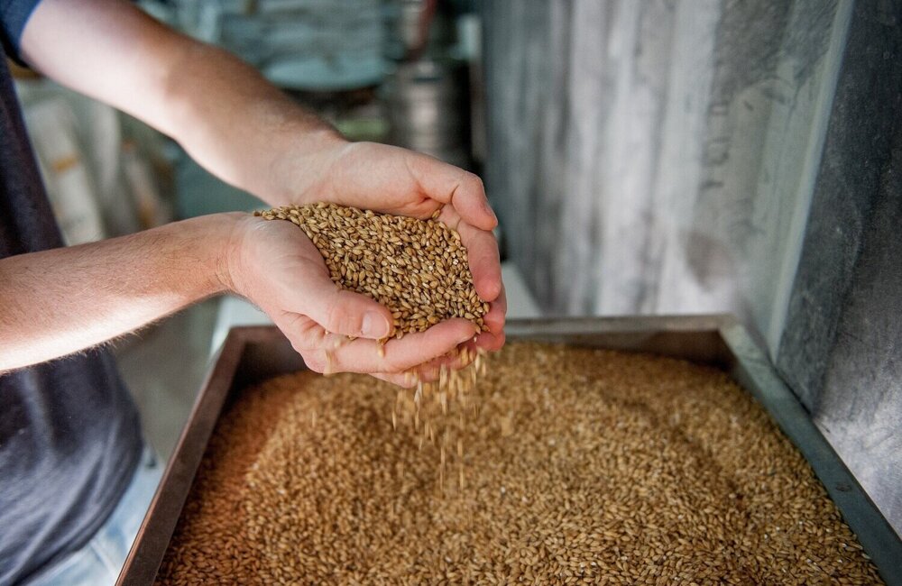 uirams-malt-4950433