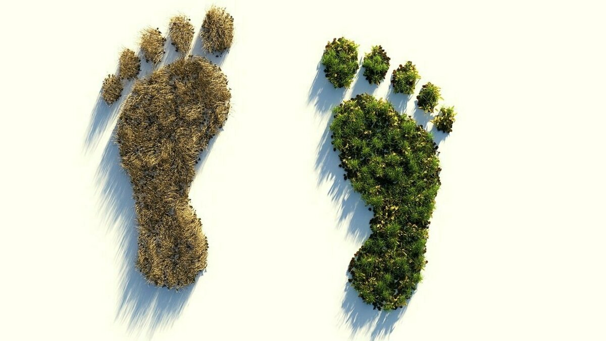 ecological-footprint-4123696_1280.jpg