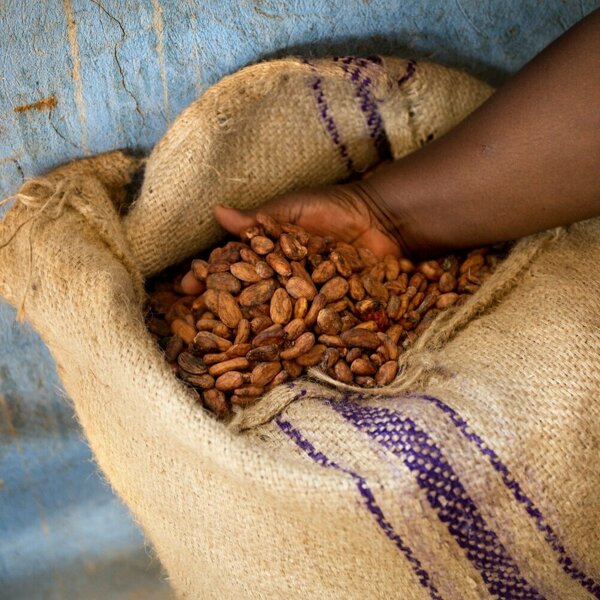 Tonys_Chocolonely_Ghana_cocoa_bags_03.jpg