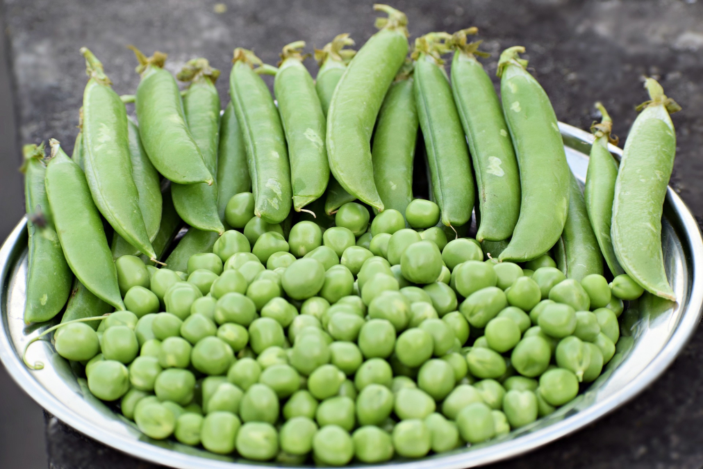 vegetable-3959593_1920.jpg