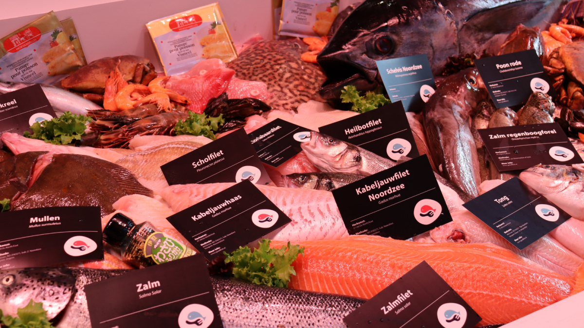 Kennemervis Groep.jpeg