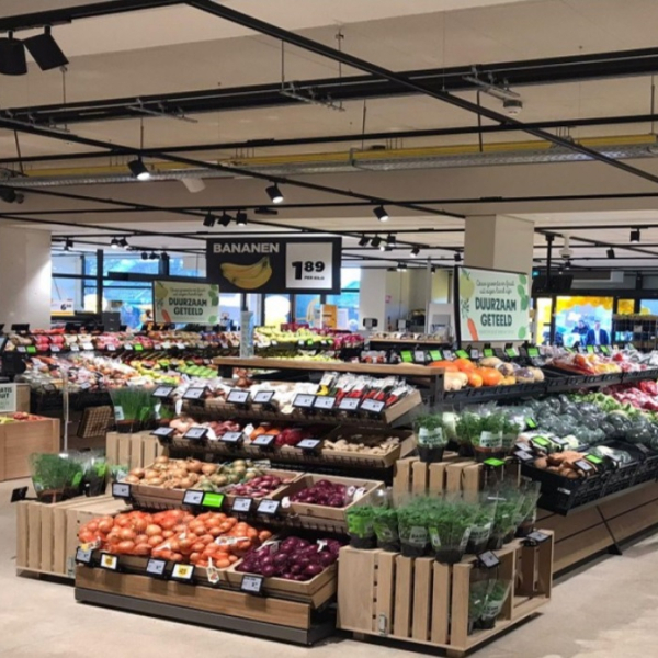 jumbo-anna paulowna.jpg