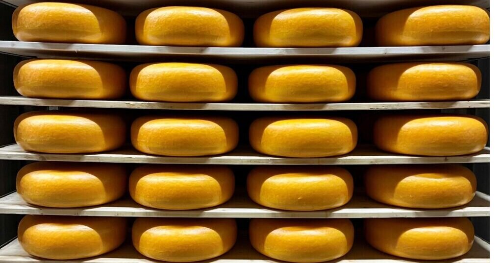 Klimaatdoelen Westland Kaas zijn op de rit