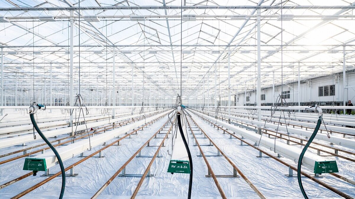 verduurzamingnederlandseglastuinbouw3.jpg