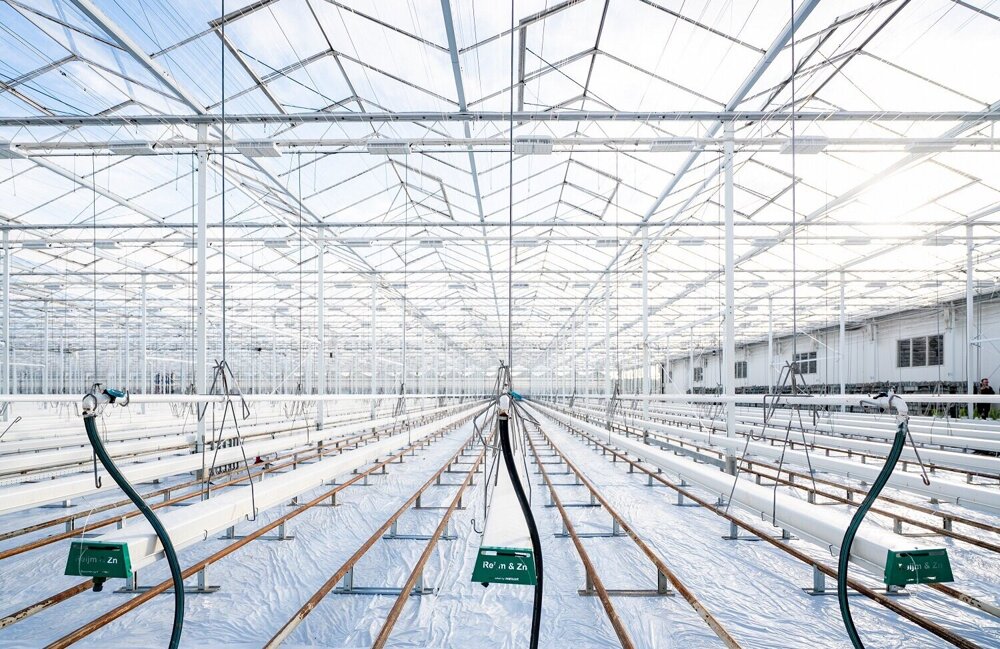 verduurzamingnederlandseglastuinbouw3.jpg