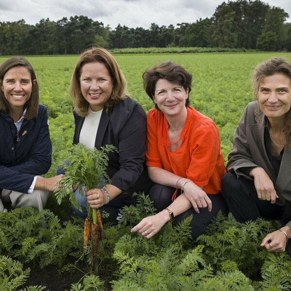 Wortel Collectief 3.jpg