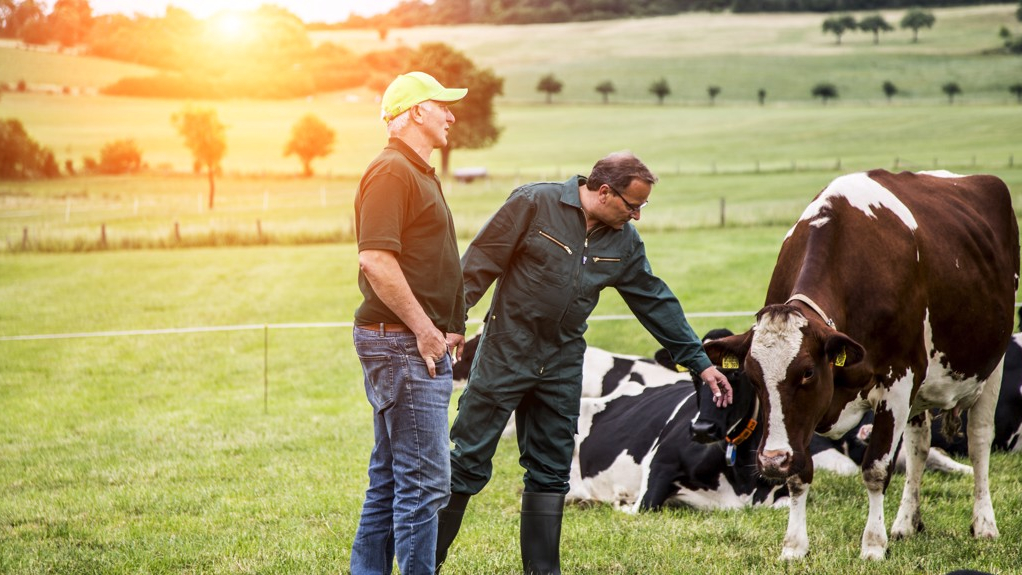 Arla Koeien Wij Boeren Melk Zuivel Nederland Boer.jpg