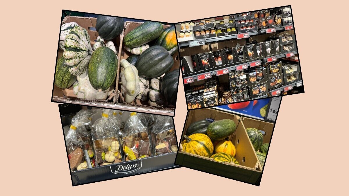 Ontwerp zonder titel (4).jpg