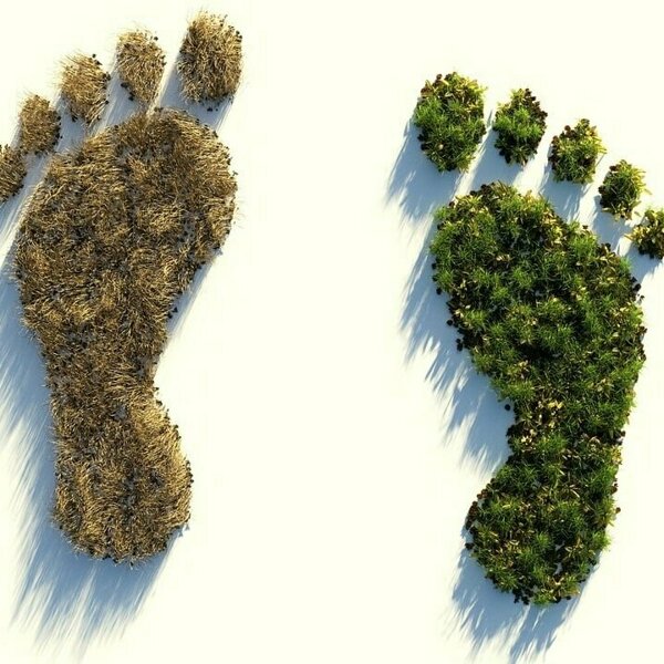 ecological-footprint-4123696_1280.jpg