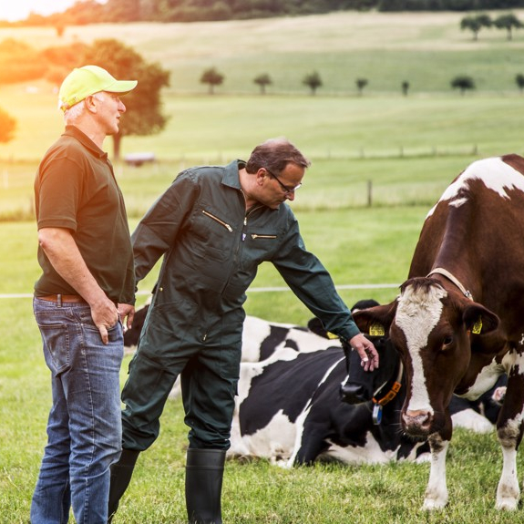 Arla Koeien Wij Boeren Melk Zuivel Nederland Boer.jpg