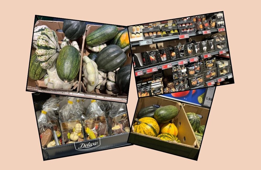 Ontwerp zonder titel (4).jpg