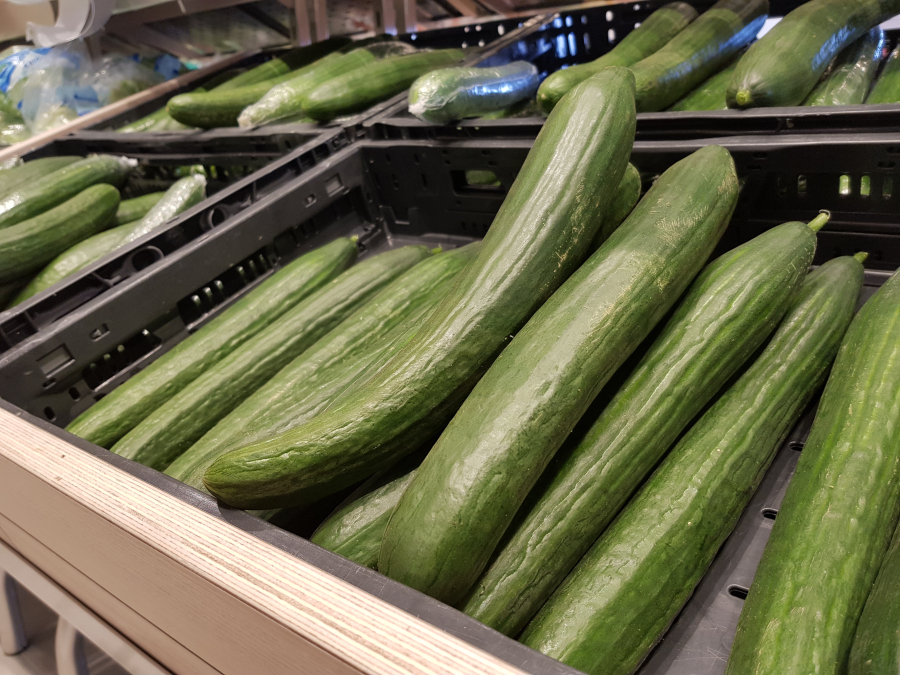 20180720_122530-groente-komkommers.jpg