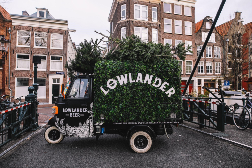 lowlander.jpg