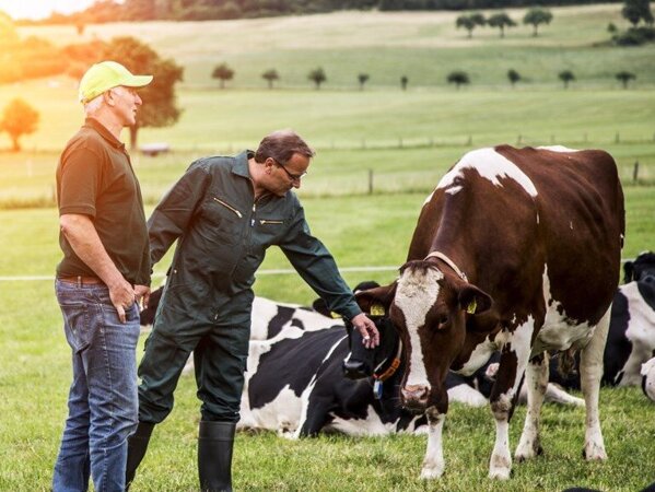 Arla Koeien Wij Boeren Melk Zuivel Nederland Boer.jpg