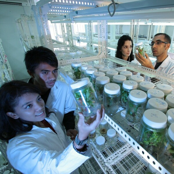 laboratory-385349_1920.jpg