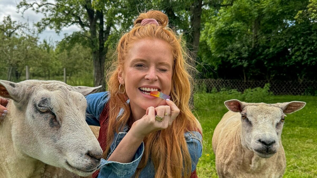 hoofdfoto (evt bovenkant eraf snijden).jpg