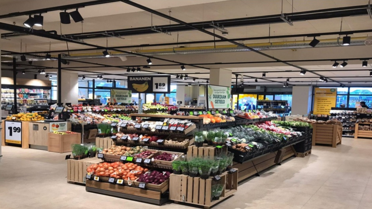 jumbo-anna paulowna.jpg