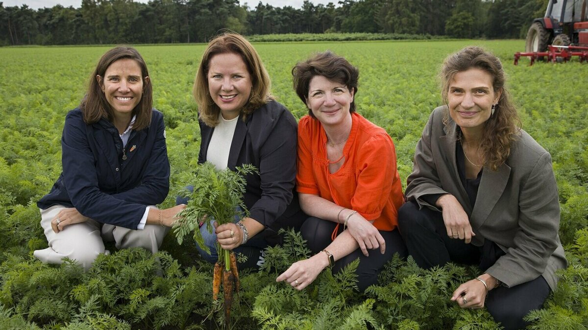 Wortel Collectief 3.jpg