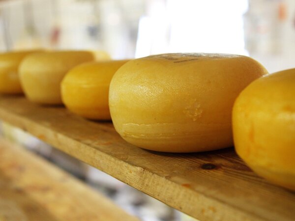 cheese-2785_1920.jpg