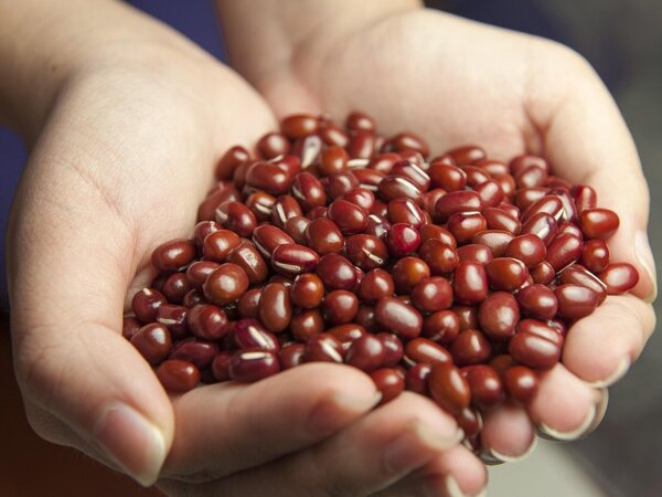 red-beans-587592_1920.jpg