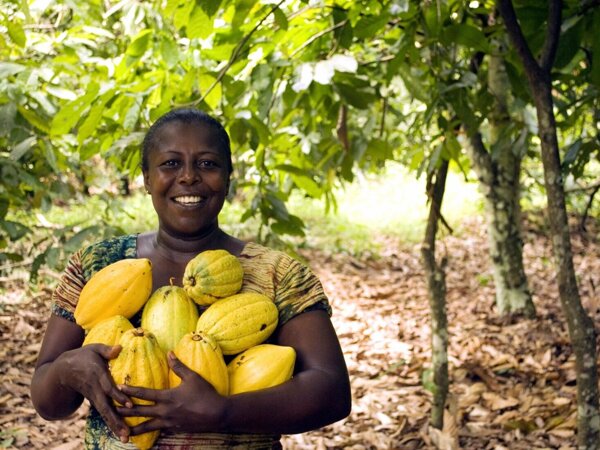 fruit-3247447.jpg