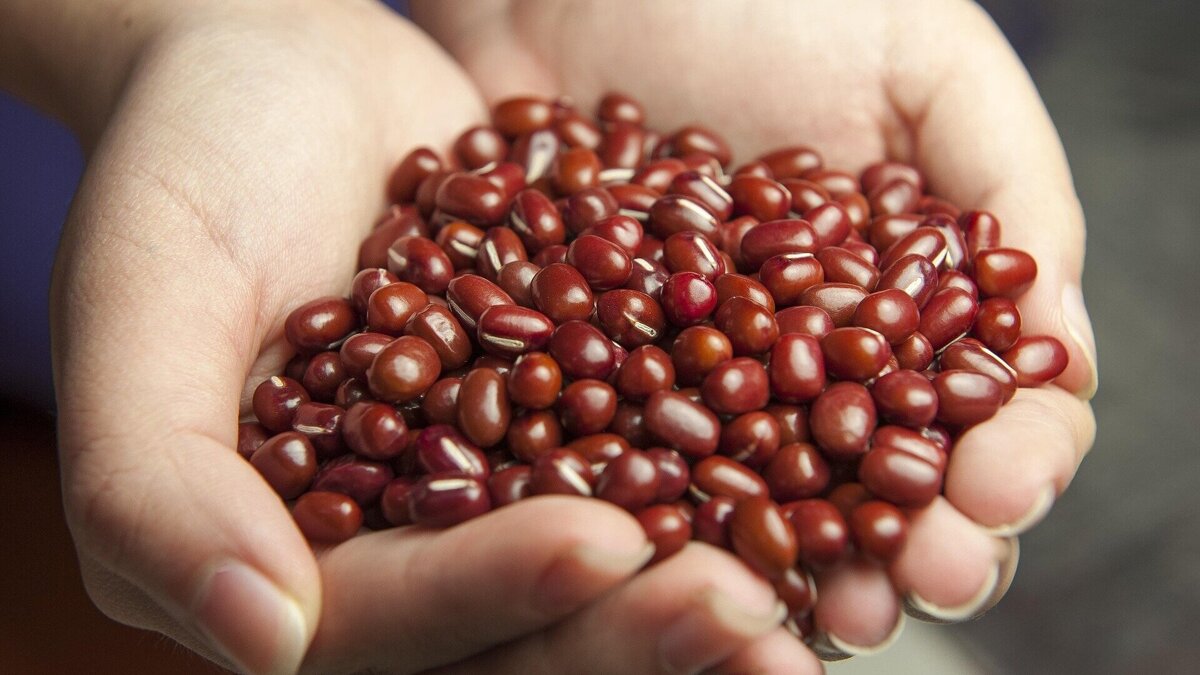red-beans-587592_1920.jpg