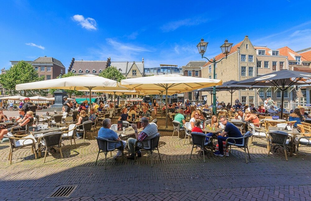 terras.jpg