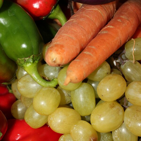 organic-1003049.jpg