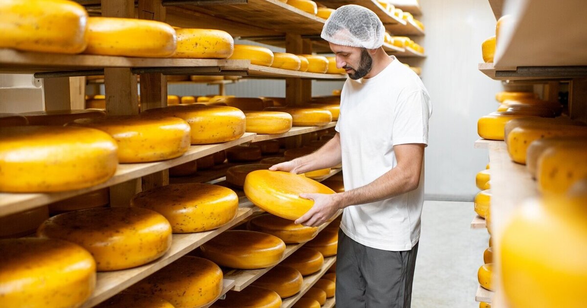 Kaasproducenten brengen verspilling in beeld