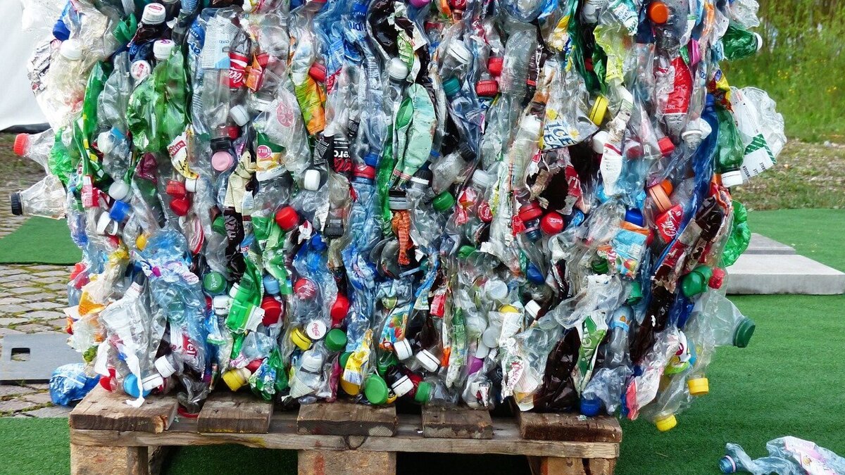 plastic-bottles-115069_1280.jpg