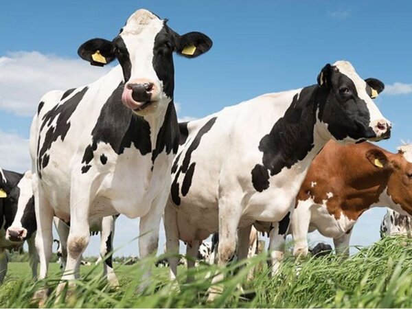 Persbericht beeld.jpg