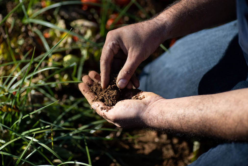 Soil Badajoz Spain LR.jpg