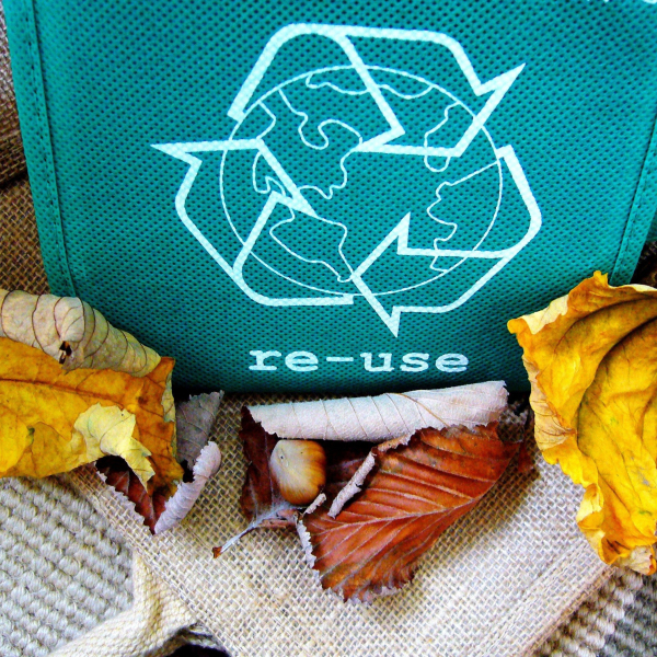 recycle-57136 (1).jpg