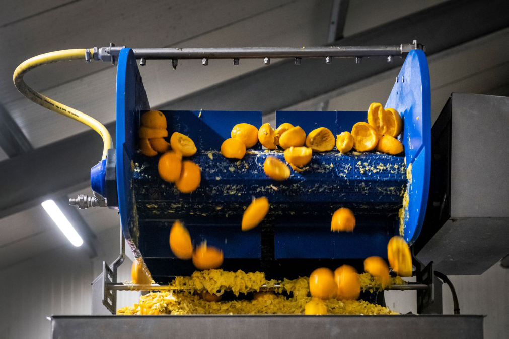 03-miljoenen-sinaasappelschillen-krijgen-tweede-leven-bij-jumbo.jpg
