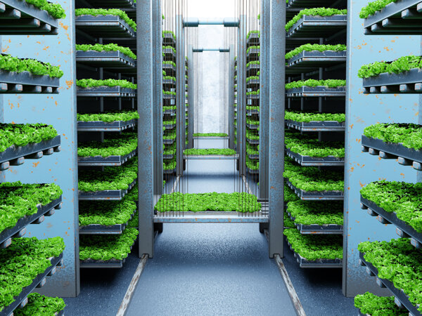 iStock-1500638972.jpg