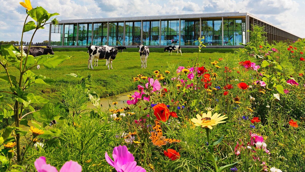 Bijenlint met kaasmakerij liggend - website resolutie (1).jpg