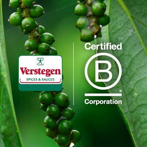 verstegen bcorp.jpg