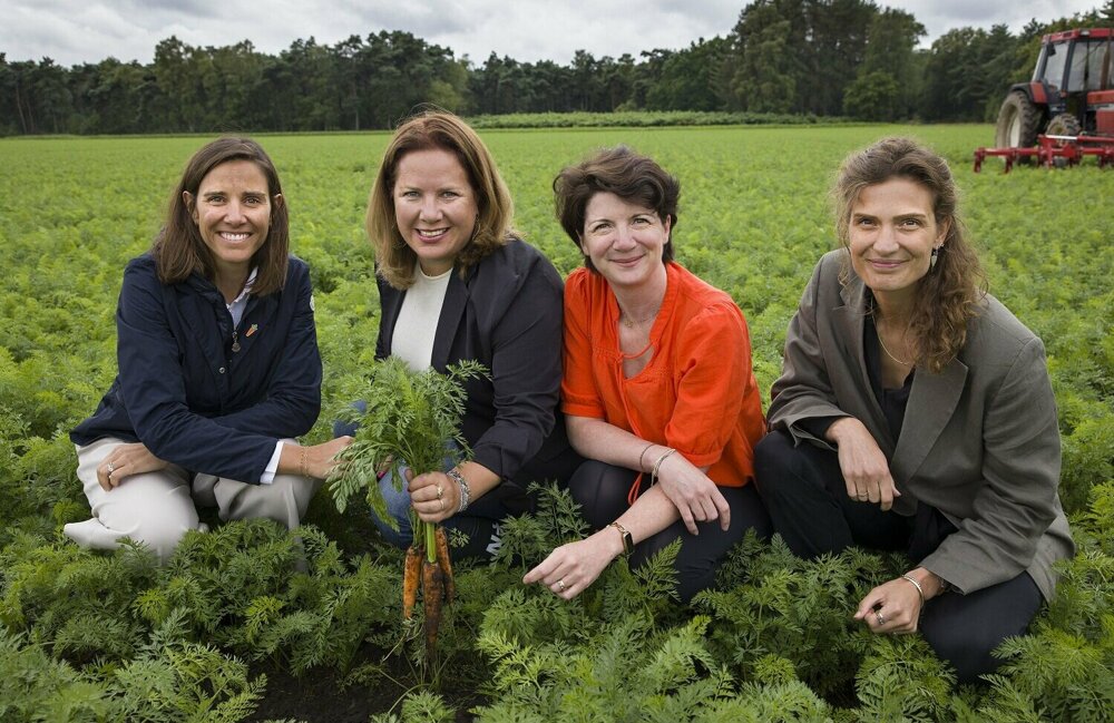 Wortel Collectief 3.jpg