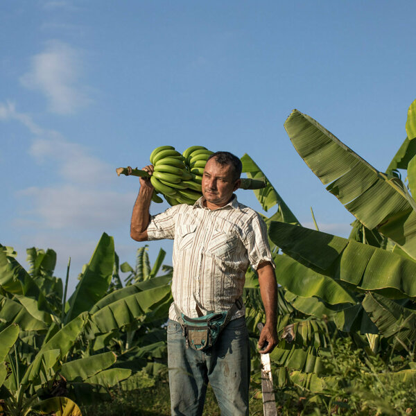fairtrade bananenboer.jpg