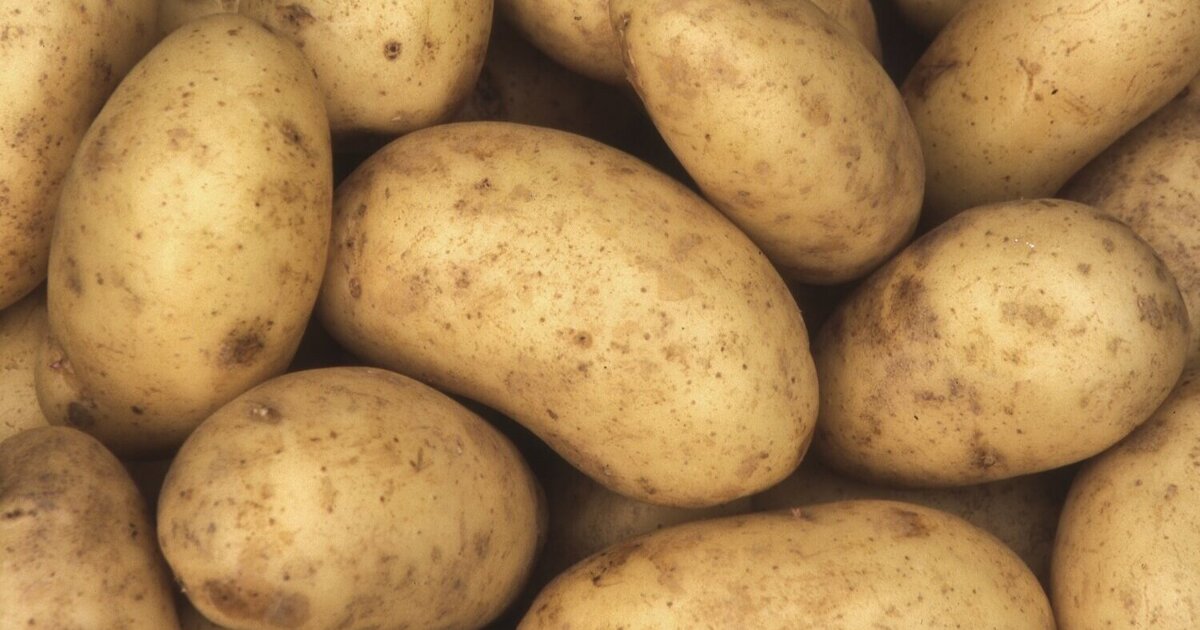 Aviko investeert fors in China om vraag naar aardappelproducten te bedienen