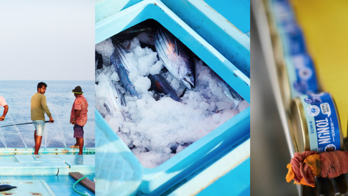 fish-tales-3-fotos.png
