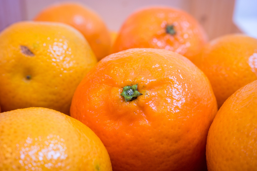 clementines-1045860_1920.jpg