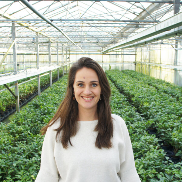 Marleen Merx  LocalTea.jpg